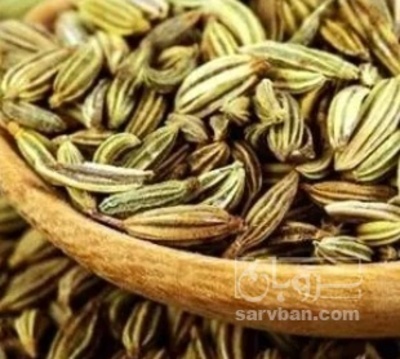 فروش زیره (گیاه‌ دارویی)