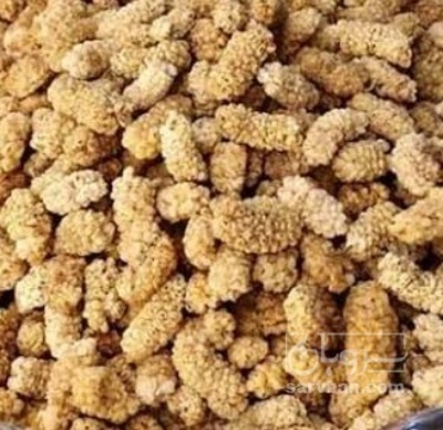 فروش توت خشک