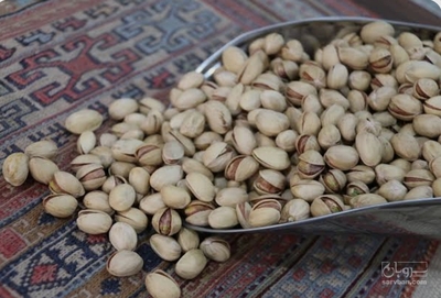 فروش پسته فندقی
