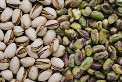 فروش پسته فندقی