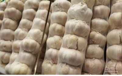 فروش سیر