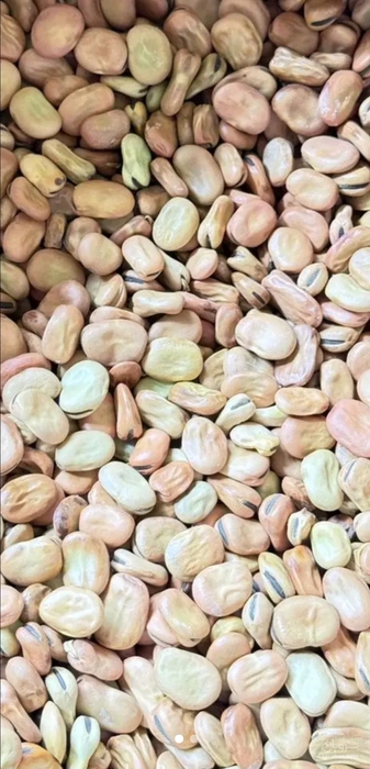 فروش باقلاخشک