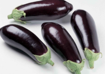 فروش بادمجان