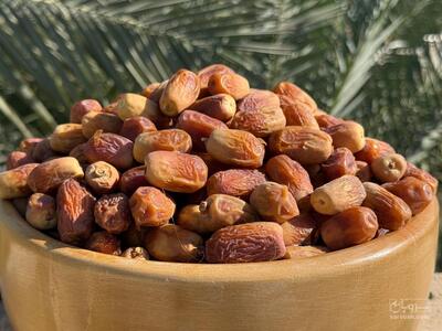 فروش خرما زاهدی