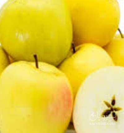 فروش سیب زرد