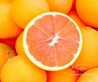 فروش پرتقال کاراکارا