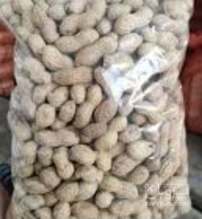 فروش بادام زمینی با قلاف