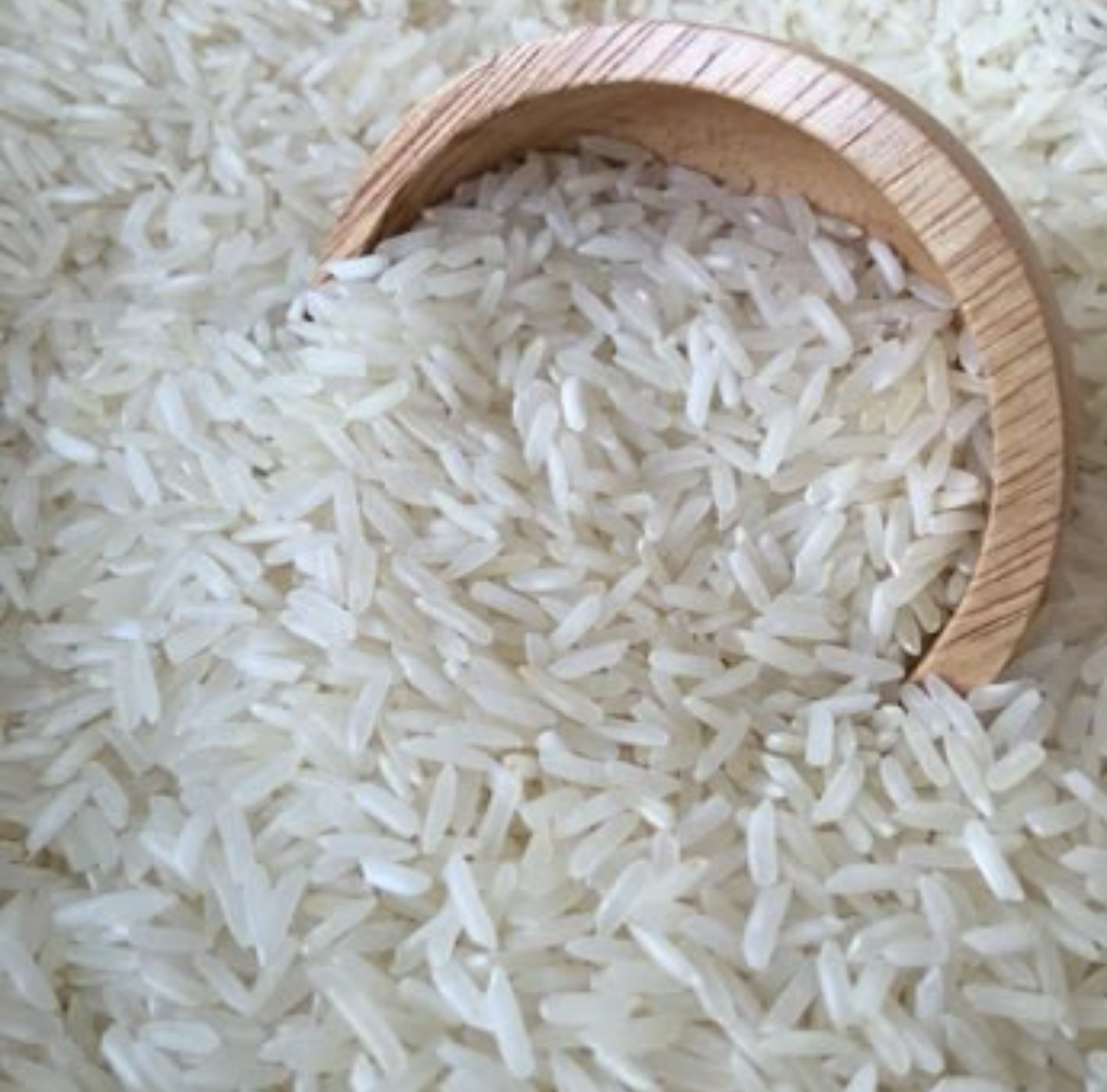 فروش برنج عنبربو