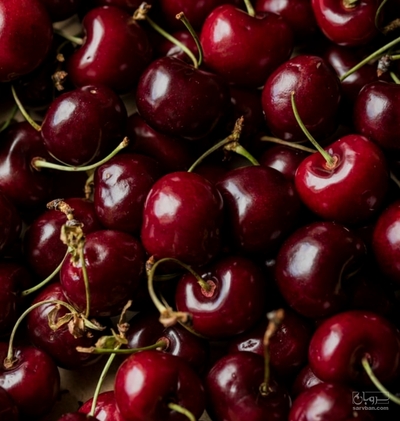 فروش گیلاس