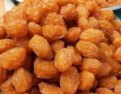 فروش آلو بخارا