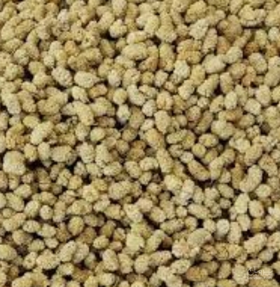 فروش توت خشک