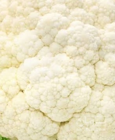 فروش گل کلم