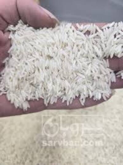 فروش برنج