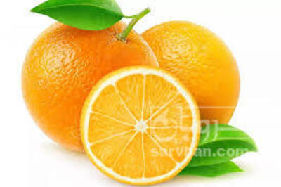 فروش پرتقال