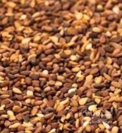 فروش کنجد قهوه ایی