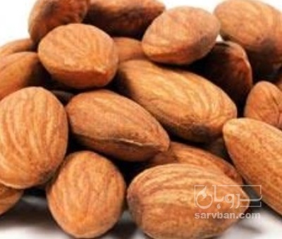 فروش مغز بادام ربیعی