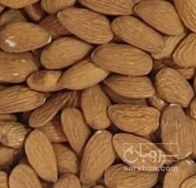 فروش مغز بادام شاهرودی