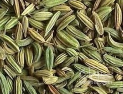 فروش زیره (گیاه‌ دارویی)