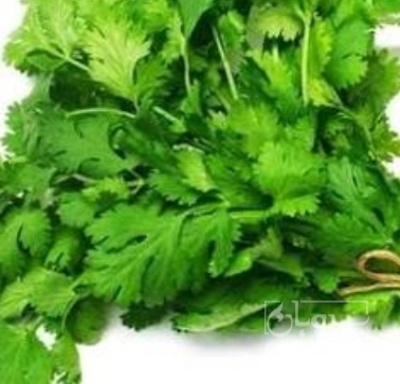 فروش جعفری تازه