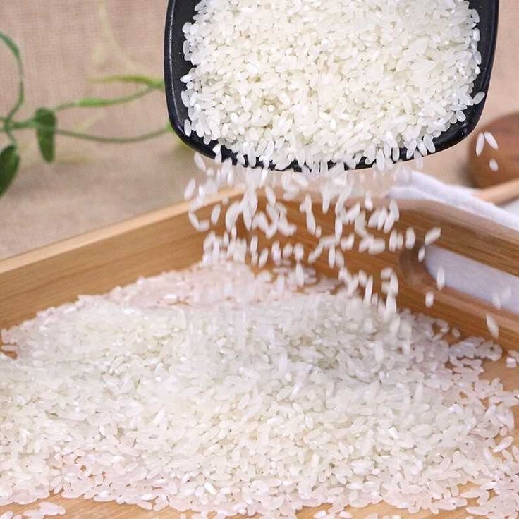 فروش برنج سدری