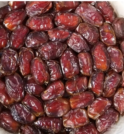 فروش خرما کلوته