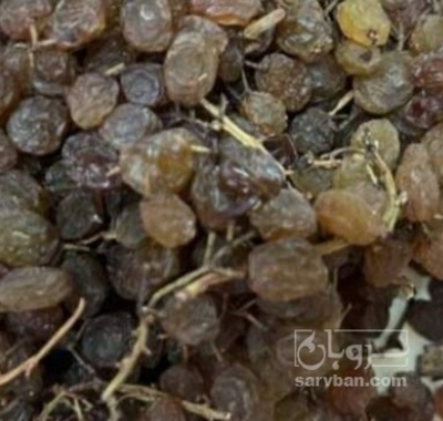 فروش کشمش ابگیری