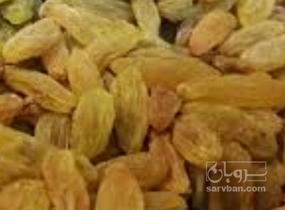 فروش کشمش گلدن