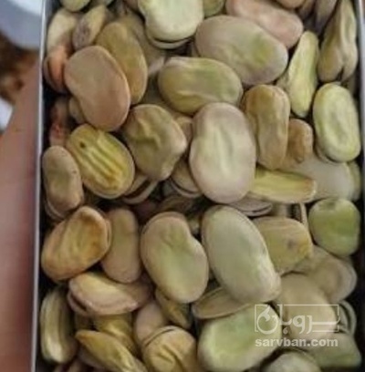 فروش باقلا تازه - باقالی - باقالا