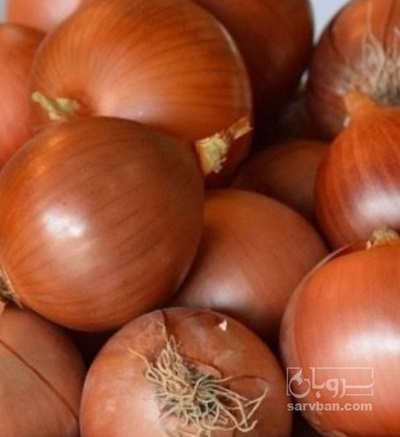 فروش پیاز زرد