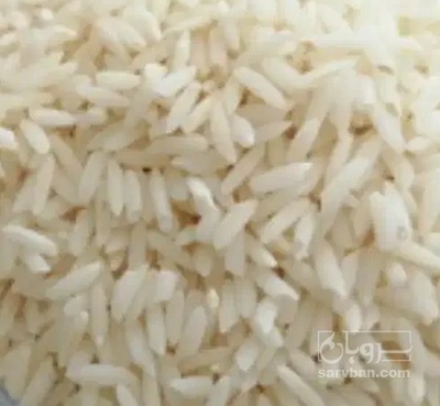فروش برنج لنجان