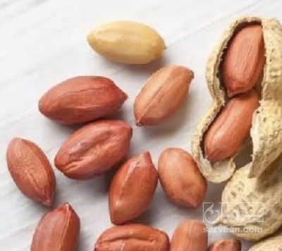 فروش بادام زمینی