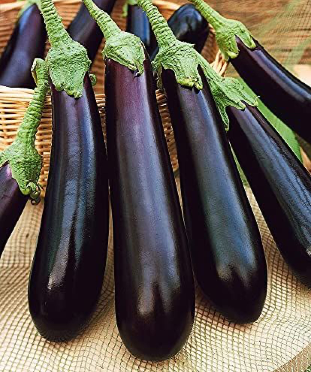 فروش بادمجان قلمی