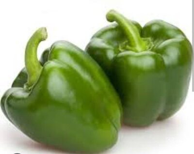 فروش فلفل دلمه ای