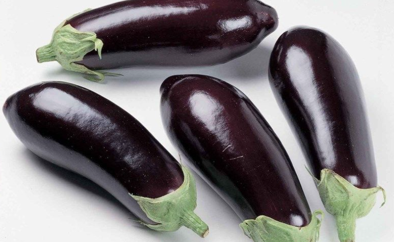 فروش بادمجان