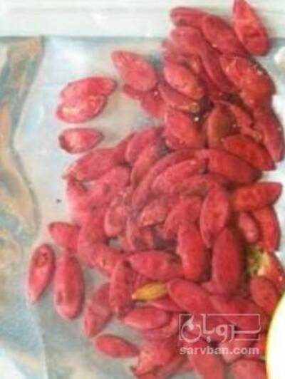 فروش بذر  طالبی جانا