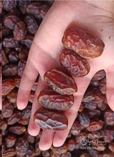 فروش خرمامرداسینگ