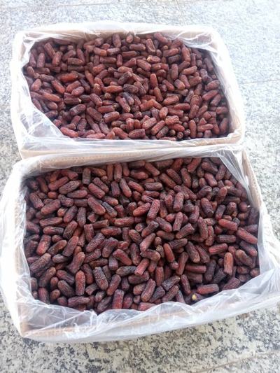 فروش خرماپیارم