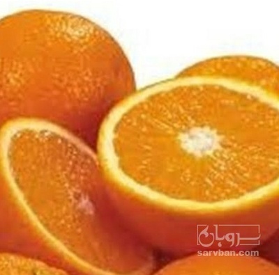 فروش پرتقال