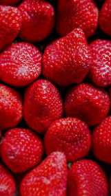 فروش توت فرنگی