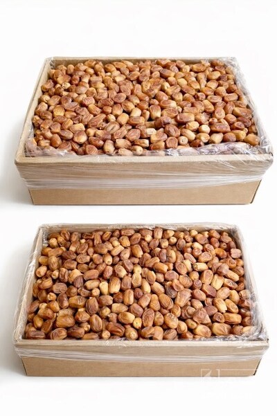 فروش خرما زاهدی