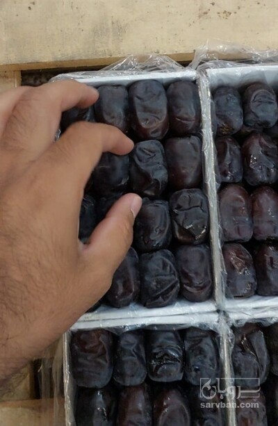 فروش خرما