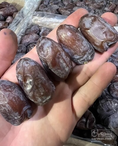 فروش خرما کلوته