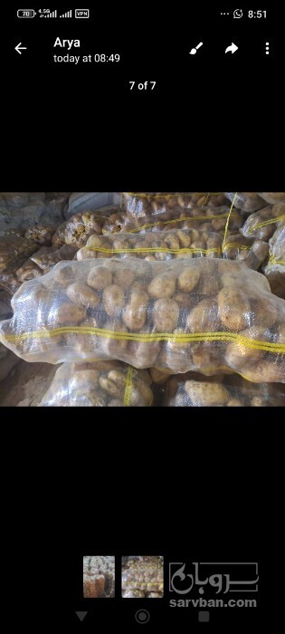 فروش سیب زمینی 2