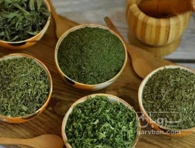 فروش شوید خشک (گیاه‌ دارویی)