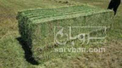 فروش یونجه