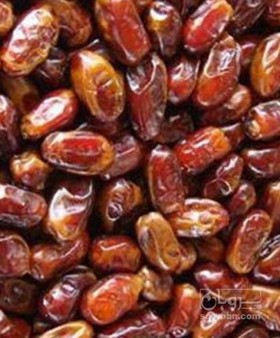 فروش خرما شاهانی