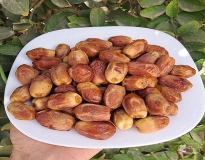 فروش خرما قصب(زاهدی)