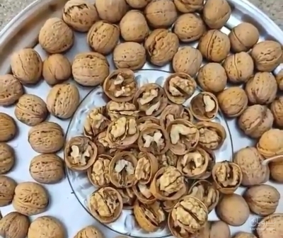 فروش گردو