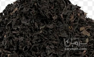 فروش چای سیاه سرگل