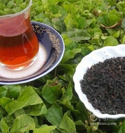 فروش چای سیاه شکسته